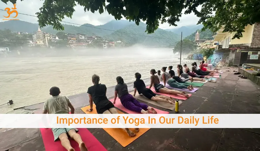Importance Of Yoga