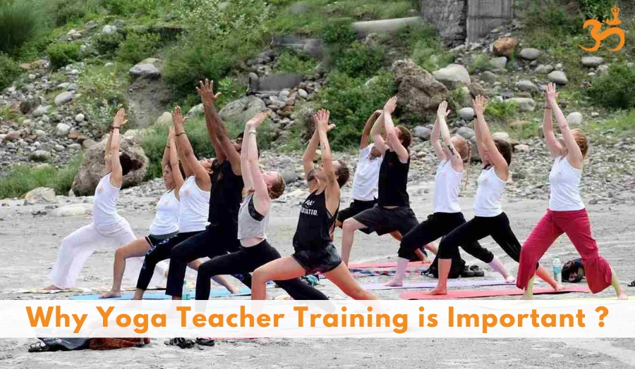 Why Yoga Teacher Training
